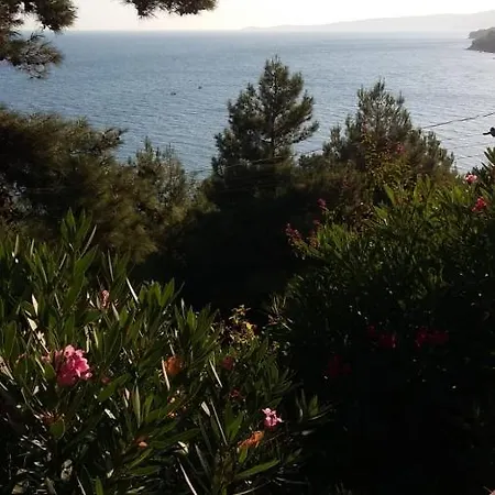 Homestay Sazlidere